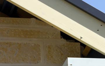 soffit repair Coppathorne